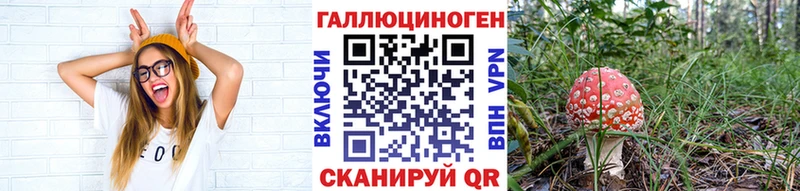 Галлюциногенные грибы Psilocybine cubensis  Купить  Полярные Зори 